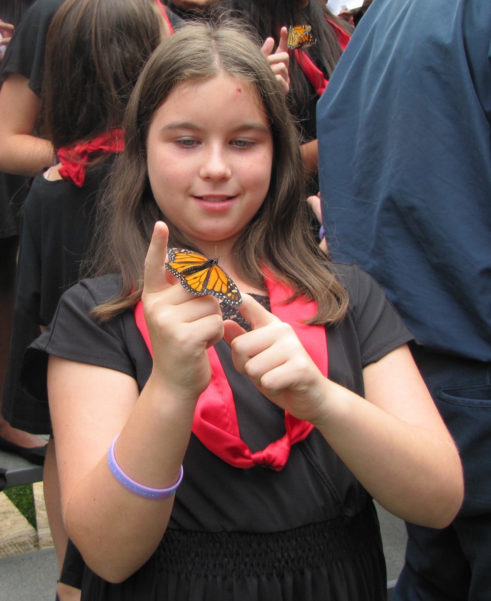 Kurn Hattin Children to Participate in Annual Wings of Hope Butterfly Release