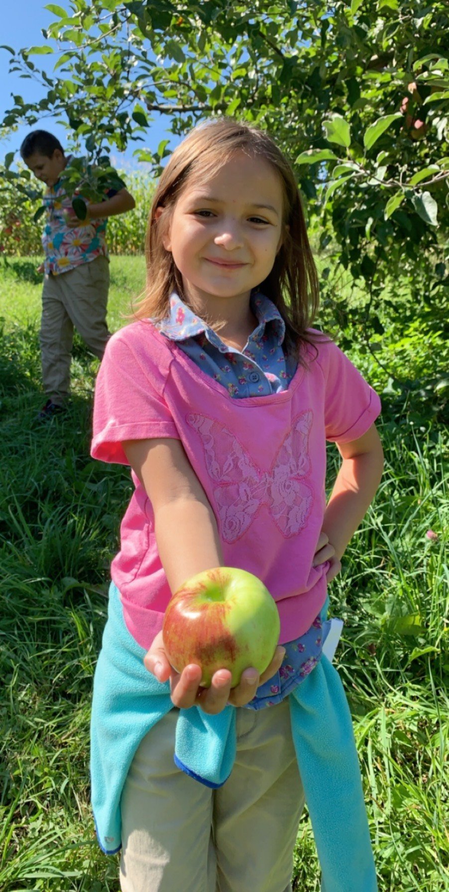 Apple Harvesting Time at Kurn Hattin 
