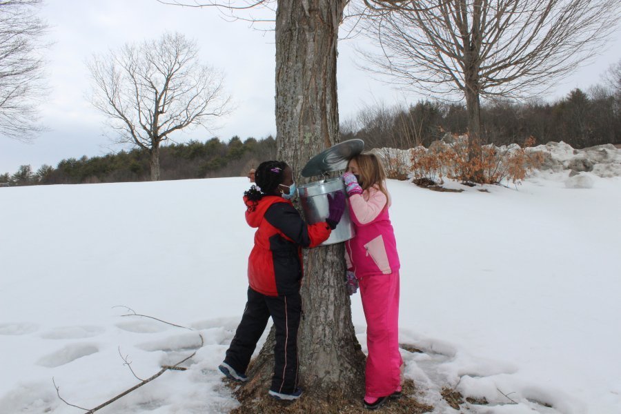 Kurn Hattin Homes’ maple sugaring season is underway!