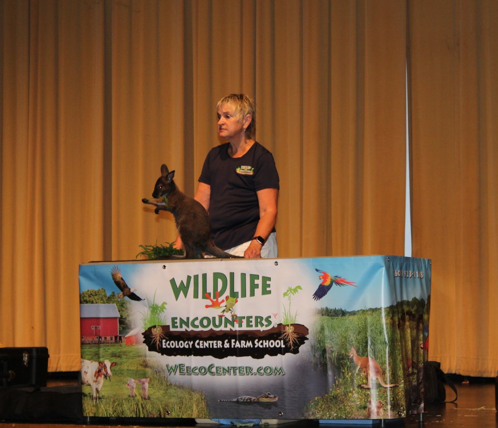 Wildlife From Around the Globe Visit Kurn Hattin